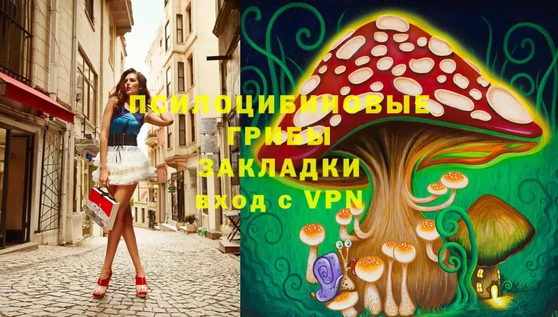 Псилоцибиновые грибы Psilocybine cubensis  hydra ссылка  Куртамыш 